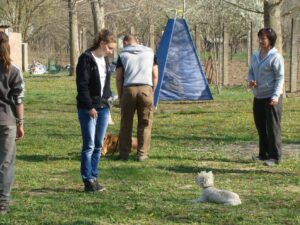 Kutyaoktató-képzés-Makó-10-Fotó-Banyó-Anita