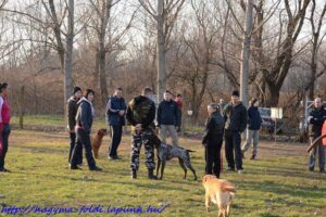 Kutyaoktató-képzés-Makó-15-Fotó-Hegedűs-Csaba