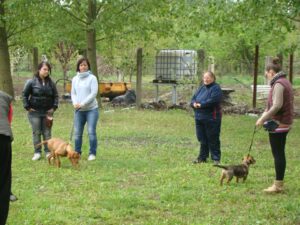 Kutyaoktató-képzés-Makó-2-Fotó-Anita-Banyó