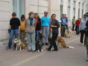 Kutyaoktató-képzés-Makó-4-Fotó-Anita-Banyó