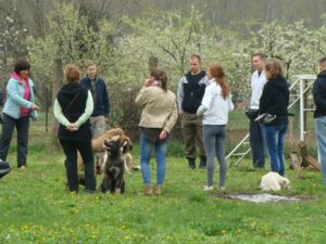 Kutyaoktató-képzés-Makó-5-Fotó-Banyó-Anita