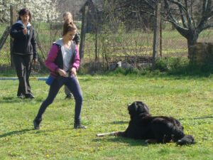 Kutyaoktató-képzés-Makó-7-Fotó-Banyó-Anita