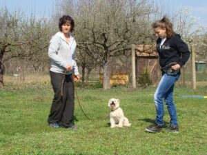 Kutyaoktató-képzés-Makó-8-Fotó-Banyó-Anita