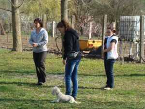 Kutyaoktató-képzés-Makó-9-Fotó-Banyó-Anita