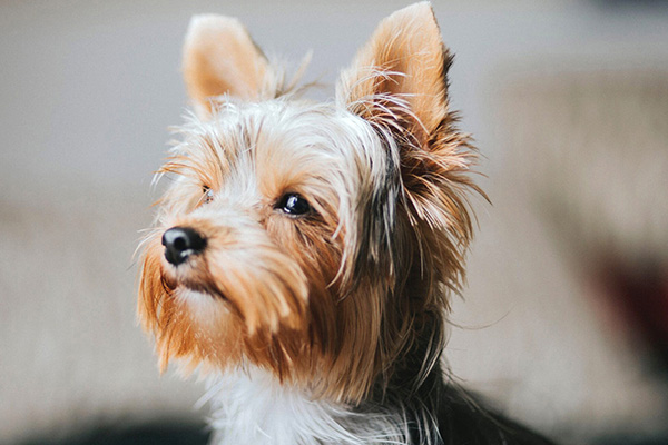 „Tanítsd úgy, hogy élvezze. Szeresd úgy, hogy érezze.”